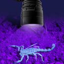 Super Bright Catching Scorpion Headlamp Headlight Head Torch Scorpion Lamp