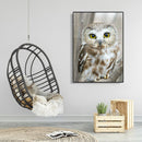 5D DIY Diamond Painting Full Drill Mosaic Kits Owl Cross Stitch Embroidery Decor
