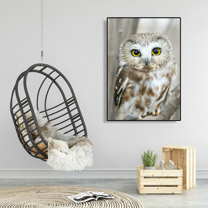 5D DIY Diamond Painting Full Drill Mosaic Kits Owl Cross Stitch Embroidery Decor