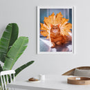 Orange Cat 5D DIY Full Round Drill Diamond Painting Rhinestone Handmade Cra