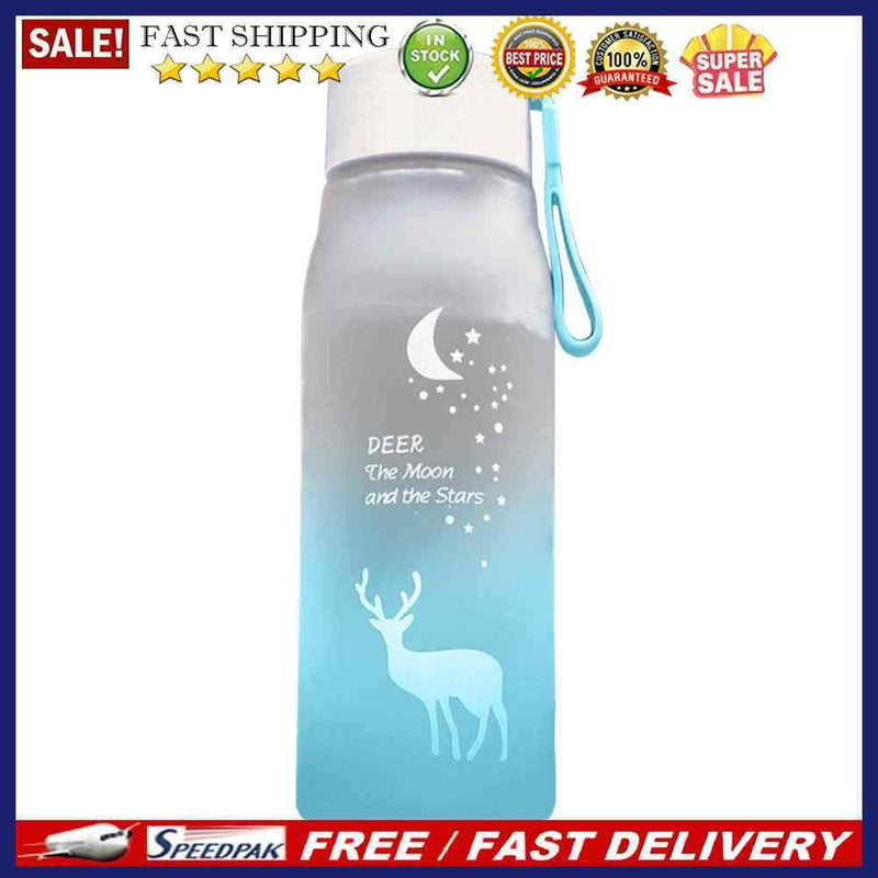 500ML Outdoor Sports Water Cup Gradient Frosted Leakproof Water Jug for Out