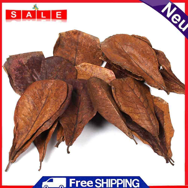 10pcs Improve Water Quality Leaf PH Acidity Aquarium Terminal Leaves Cover