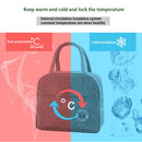 Picnic Insulation Bags Portable Lunch Bento Bag for School Camping (Blue) Newly