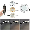 3 Colors Table Lamp Dimming Desk Reading Light With Large E4M3 Magnifier 5X A6S9
