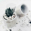 Ceramic Clay Handicraft Flower Pot Silicone Mold Succulent I2S1 Planter P9G5