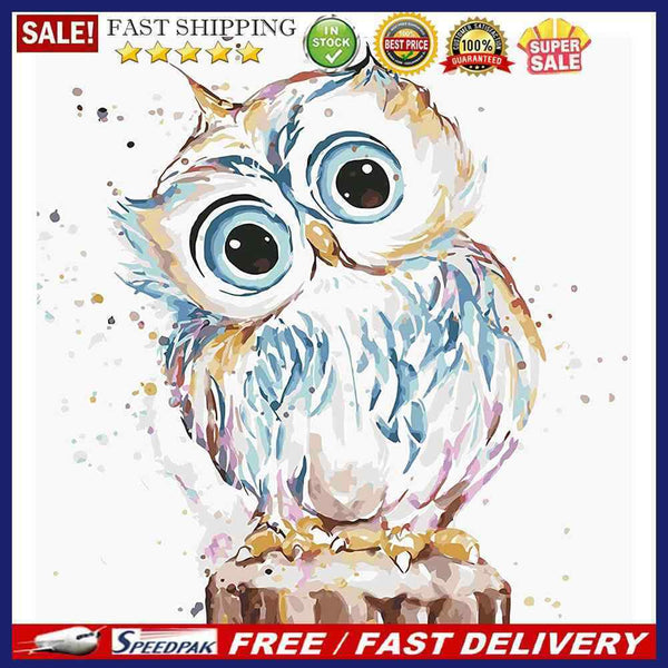 Acrylic Oil Painting By Numbers Cute Owl Digital Picture Artwork Home Wall