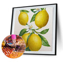5D Diamond Painting Kit Pear Flower Full Round Drill Rhinestone DIY Crafts