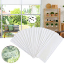 Fly Strip Fly Catcher Trap Window Fly Traps Fly Sticky Traps Sticky Fly Traps