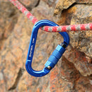 25KN Safety Auto Master Fast Lock Carabiner Outdoor Rock Climbing Hanging Buc