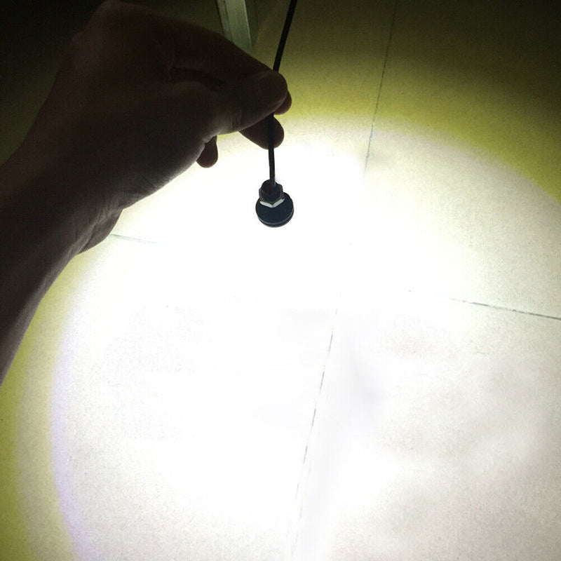 Anna Bella, nuovissima, spedizione gratuita negli Stati Uniti