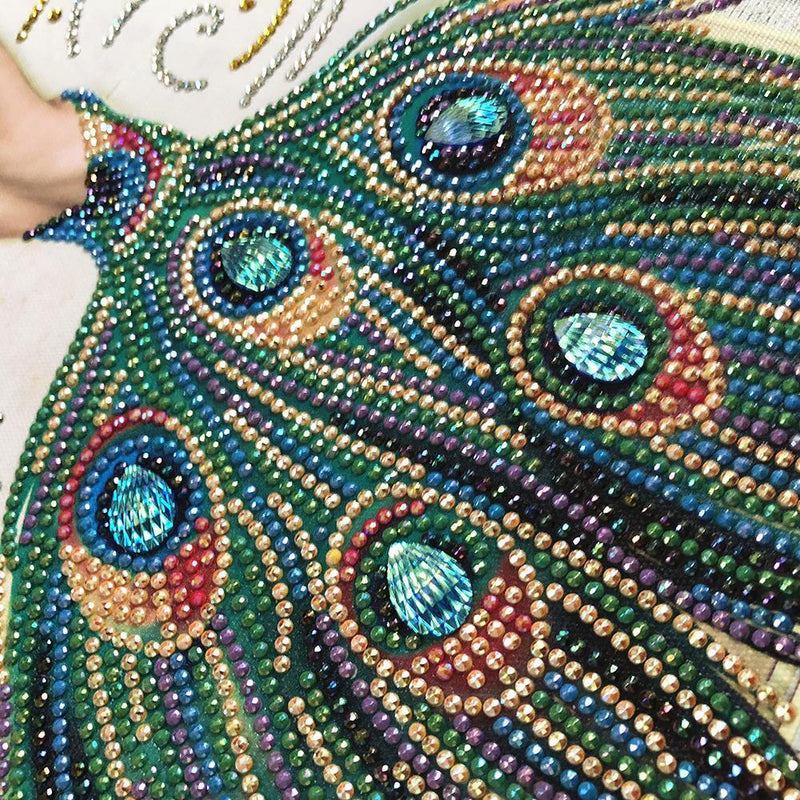 5D DIY Special-shaped Diamond Painting Beauty Cross Stitch Embroidery Kit Newly