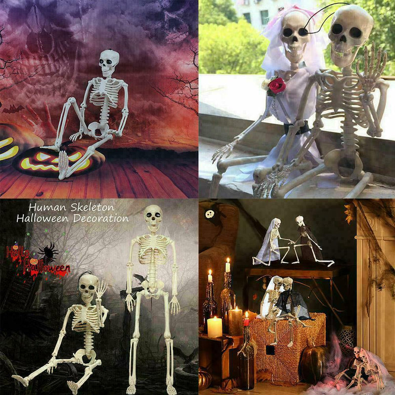 Poseable Full Life Skeleton Prop Halloween Decorati Party H3Q2 E6B4