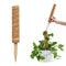 Coconut Palm Stick - Plant Supporting Poles Plant Climbing Vine (30cm)