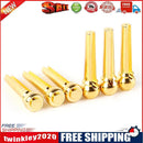 6pcs Guitar Strings Nails Copper Acoustic Guitar Bridge Pins Nut Fixed Cone