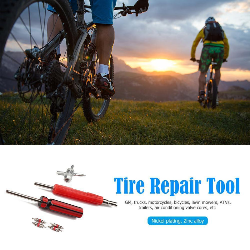 4pcs Tire Schrader Valve Core with Dual Single Head Remover+4-Way Valve Too