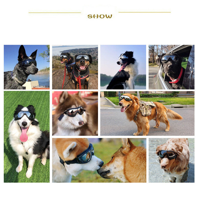 Pet Dog Sunglasses Fashion Cool Foldable Puppy Glasses Waterproof Goggles Newly