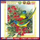 Flower Bird Oil Paint By Numbers Kit DIY Acrylic Painting Wall Art Picture Cr