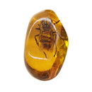 Beautiful Amber Hornet Fossil Insects Manual Polishing B9P8