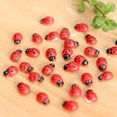 100x Mixed Ladybird Mini Self Adhesive Wooden Ladybugs Craft Card Wood Top hot.