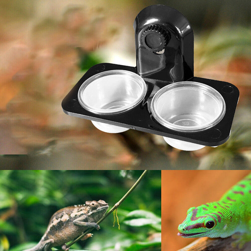 Reptile Dual Purpose Water Food Pot Gecko Bread Insect Feeding Bowl (A)