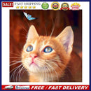 Diamond Painting 5D Cat Plays Butterfly DIY Full Round Drill Decoration Han