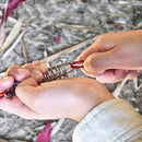 Outdoor Camping Tent Spring Wind Rope Buckle Fix Hook Buckles (Red 5pcs) Newly