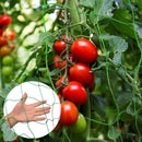 Tools Netting P lant M esh Fruit Protect Net B ag P lant Climbing Net Garden