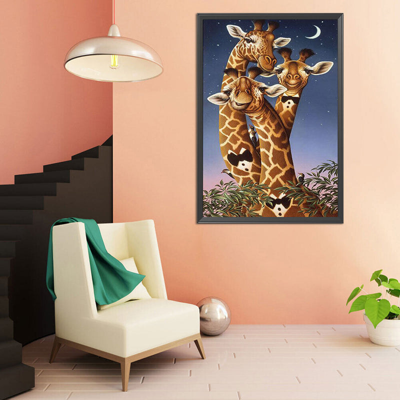 Mr Giraffes Oil Paint By Numbers Kits DIY Canvas Wall Art Picture Home Crafts