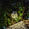5pcs LED Solar Lamp Cracked Glass Ball Hanging Light Waterproof Decor(B)