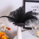 10pcs Fluffy Ostrich Feather Wedding Party Plumes Feather 15-20cm (Black) Newly