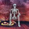 40cm Halloween Human Skeleton Halloween Garden Decoration Ornament`
