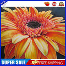 Sunflower Oil Paint By Numbers Kits DIY Hand Painted Wall Art Decor (M967)