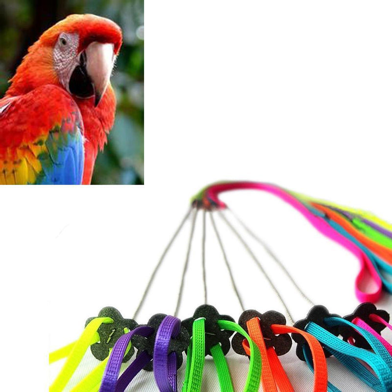 Bird Parrot Adjustable Harness & Leash Anti-bite Multicolor Light Soft  Newly
