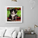 5D DIY Full Drill Diamond Painting Lovely Cat Cross Stitch Needlework Set Decor