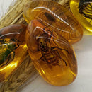Beautiful Amber Hornet Fossil Insects Manual Polishing Decor O8N5