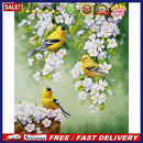 Bird on Branch Oil Paint By Numbers Kit DIY Acrylic Painting on Canvas Framel