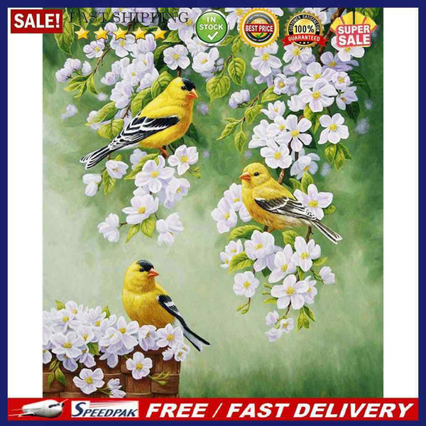 Bird on Branch Oil Paint By Numbers Kit DIY Acrylic Painting on Canvas Framel