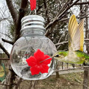 Container Bird Feeder Lamp Bubbles Circular Shape Hummingbird Feeder