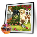DIY Dog in Garden Rhinestone Picture Mosaic 5D Full Round Drill Diamond Pai