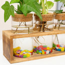 Wooden Frame Glass Vase Flower Arrangement Plant Flower Pot Hydroponic Vase