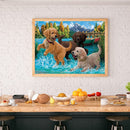 5D DIY Puppies Full Round Drill Diamond Painting Kit Art Craft Home Wall Decor