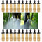 Watering Spray Atomizing sprayer Misting Nozzles Sprinklers Sprinkler Head