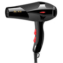 Hot 2100W Professional Pro Salon Hairdryer Ionic Ceramic Blow Dryer Hair Dryer