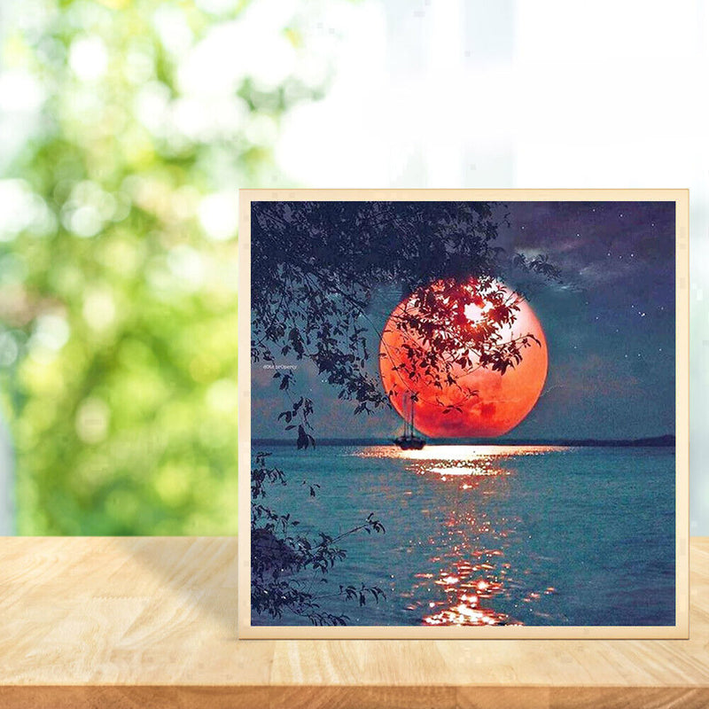 5D DIY Full Drill Diamond Painting Moon Embroidery Mosaic Craft Kit (z1564)