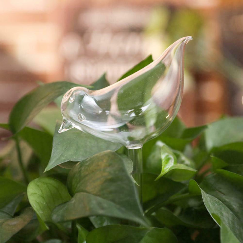 Glass Plant Flowers Water Feeder Self Watering Bird Device*1 Waterer F1Z3