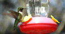Hummingbird Feeders for Outdoors Hanging Bird Feeder Humming Bird Feeder 2 Pack