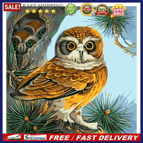 DIY Paint By Number Kit Frameless Owl Handpainted Canvas Wall Hanging Decoration