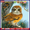 DIY Paint By Number Kit Frameless Owl Handpainted Canvas Wall Hanging Decoration