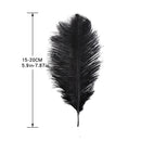 10pcs Fluffy Ostrich Feather Wedding Party Plumes Feather 15-20cm (Black) Newly