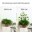10x Invisible Plants Climbing Wall Sticky Hooks/Vines Clips Fixing Fixture G4T9